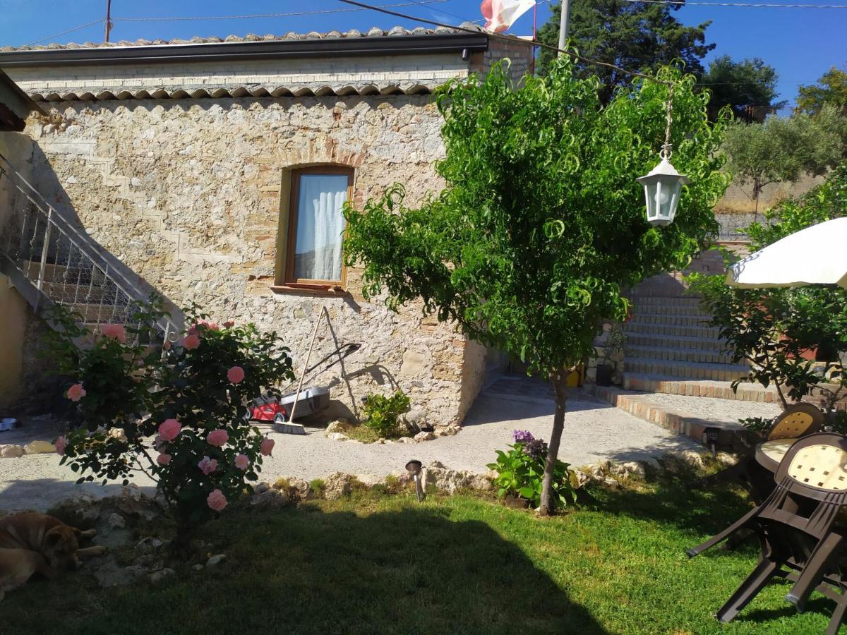 Il Giardino Dei Semplici B&B Caulonia 外观 照片